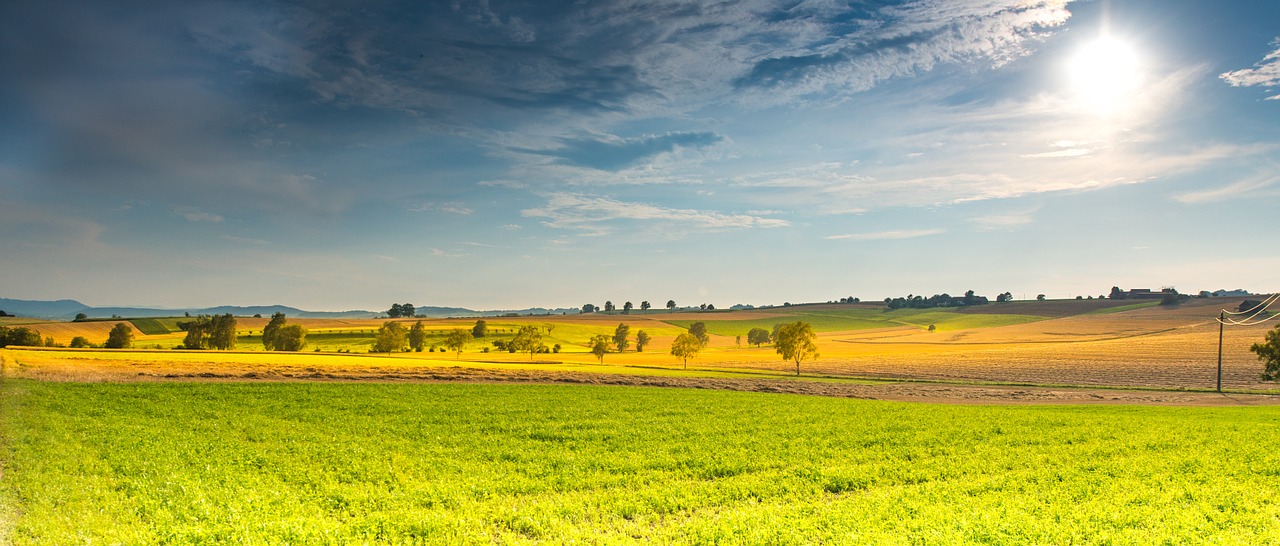 landscape
