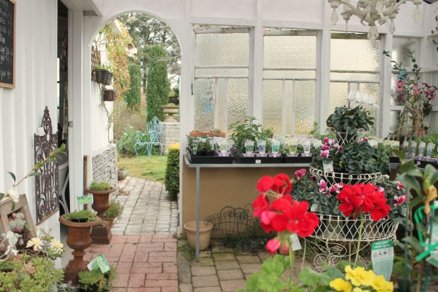white cottage 19